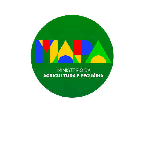 Design sem nome (4)